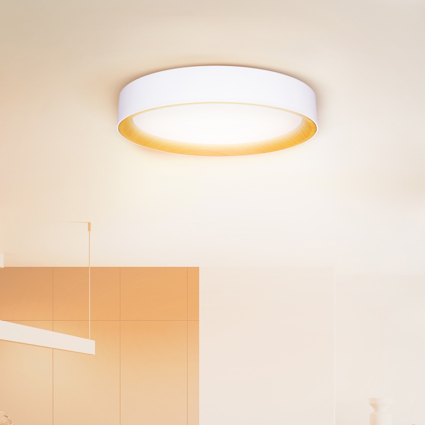 Brilagi - LED Prigušiva plafonjera LARIOS LED/48W/230V 3000-6500K ø 39 cm bela + Daljinski upravljač