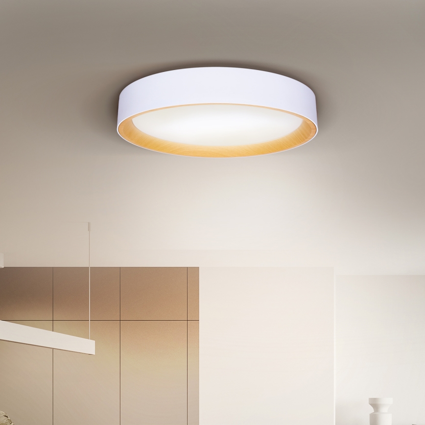 Brilagi - LED Prigušiva plafonjera LARIOS LED/48W/230V 3000-6500K ø 39 cm bela + Daljinski upravljač