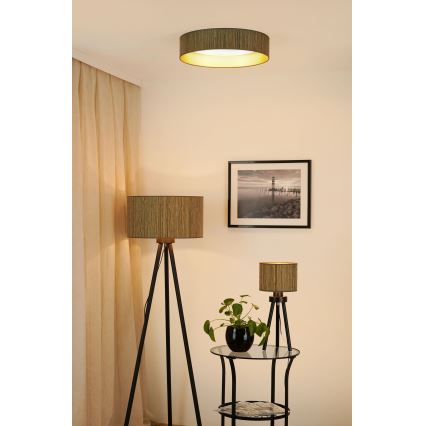 Brilagi - LED Prigušiva plafonjera VEGAS SHINE LED/24W/230V 3000/4000/6500K slama braon/zlatna + Daljinski upravljač