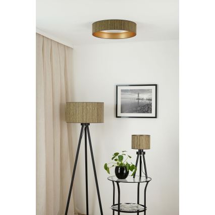 Brilagi - LED Prigušiva plafonjera VEGAS SHINE LED/24W/230V 3000/4000/6500K slama braon/zlatna + Daljinski upravljač