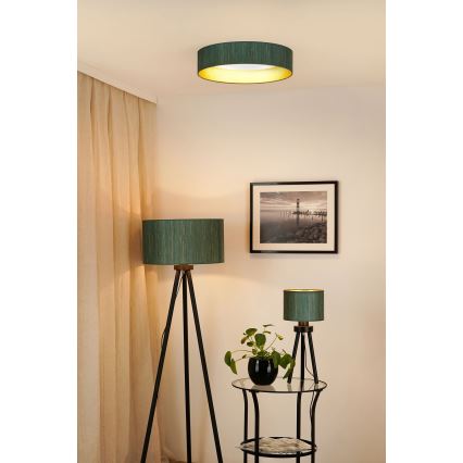 Brilagi - LED Prigušiva plafonjera VEGAS SHINE LED/24W/230V 3000/4000/6500K slama zelena/zlatna + Daljinski upravljač