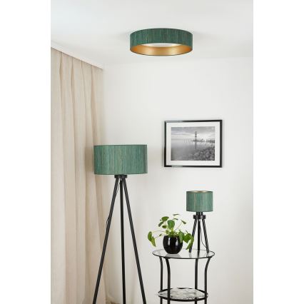 Brilagi - LED Prigušiva plafonjera VEGAS SHINE LED/24W/230V 3000/4000/6500K slama zelena/zlatna + Daljinski upravljač
