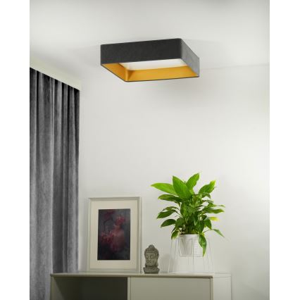 Brilagi - LED Prigušiva plafonjera VELVET SQUARE LED/24W/230V 3000/4000/6500K + Daljinski upravljač sivo