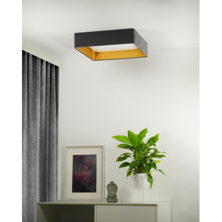 Brilagi - LED Prigušiva plafonjera VELVET SQUARE LED/24W/230V 3000/4000/6500K + Daljinski upravljač sivo