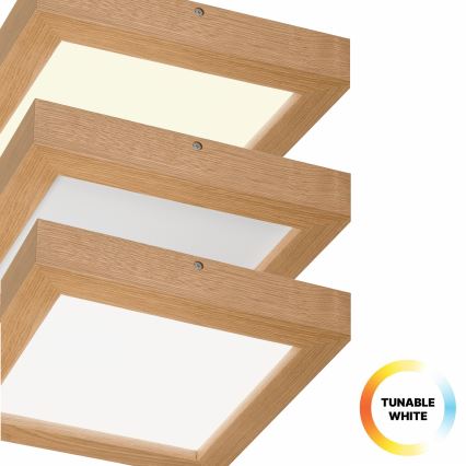 Brilagi - LED Prigušiva plafonjera za kupatilo WOODY FRAME LED/24W/230V hrast 30x30 cm 3000-6000K IP44 + Daljinski upravljač