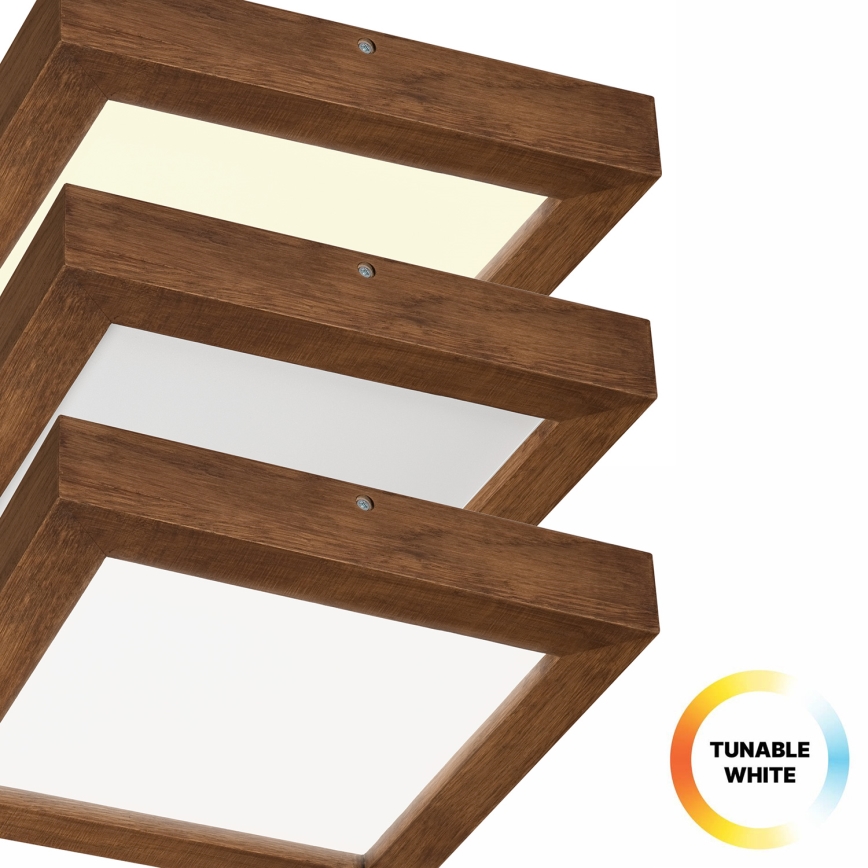 Brilagi - LED Prigušiva plafonjera za kupatilo WOODY FRAME LED/24W/230V hrast trešnja 30x30 cm 3000-6000K IP44 + Daljinski upravljač