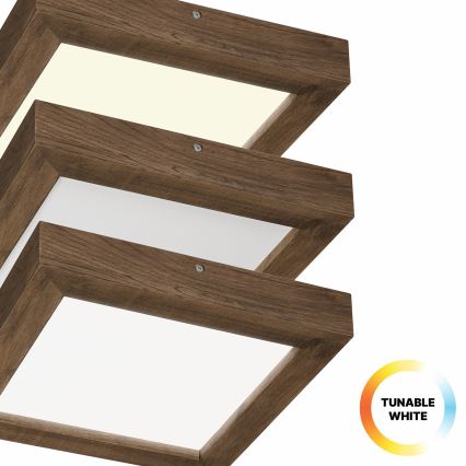 Brilagi - LED Prigušiva plafonjera za kupatilo WOODY FRAME LED/24W/230V hrast 30x30 cm 3000-6000K IP44 + Daljinski upravljač