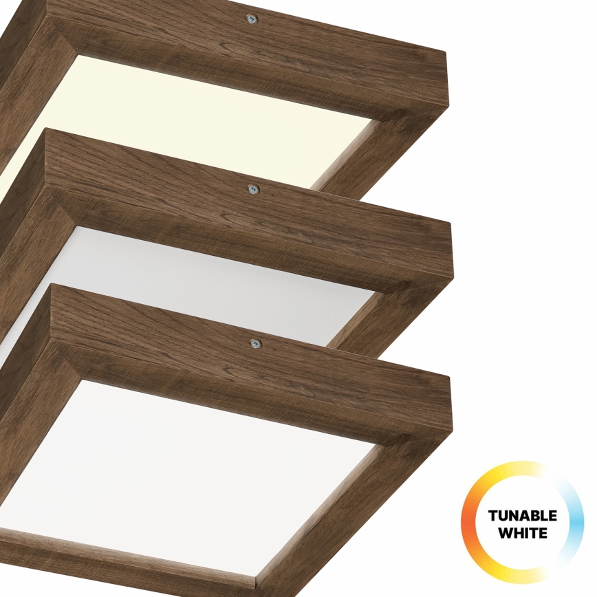 Brilagi - LED Prigušiva plafonjera za kupatilo WOODY FRAME LED/24W/230V hrast 30x30 cm 3000-6000K IP44 + Daljinski upravljač
