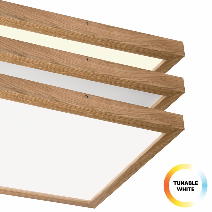 Brilagi - LED Prigušiva plafonjera za kupatilo WOODY FRAME LED/50W/230V hrast 60x60 cm 3000-6000K IP44 + Daljinski upravljač