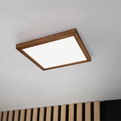 Brilagi - LED Prigušiva plafonjera za kupatilo WOODY FRAME LED/50W/230V hrast 60x60 cm 3000-6000K IP44 + Daljinski upravljač