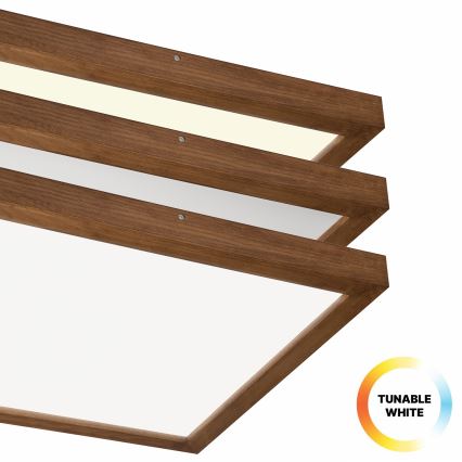 Brilagi - LED Prigušiva plafonjera za kupatilo WOODY FRAME LED/50W/230V hrast 60x60 cm 3000-6000K IP44 + Daljinski upravljač