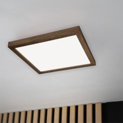 Brilagi - LED Prigušiva plafonjera za kupatilo WOODY FRAME LED/50W/230V hrast 60x60 cm 3000-6000K IP44 + Daljinski upravljač