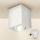 Brilagi - LED Reflektorska lampa MIA 1xGU10/30W/230V 100x80 mm bela
