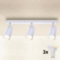 Brilagi - LED RGBW prigušiva spot svetiljka SELE 3xGU10/6,5W/230V 2700-6500K bela