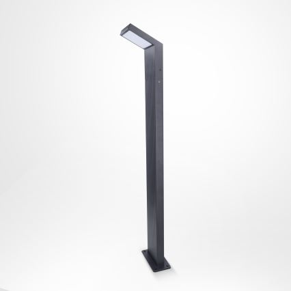 Brilagi - LED Spoljašnja lampa RIANO LED/8W/230V antracit IP65
