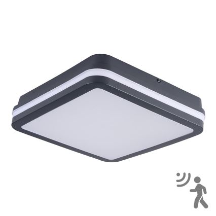 Brilagi - LED Spoljno svetlo sa senzorom pokreta BENE LED/24W/230V 26x26 cm antr IP54