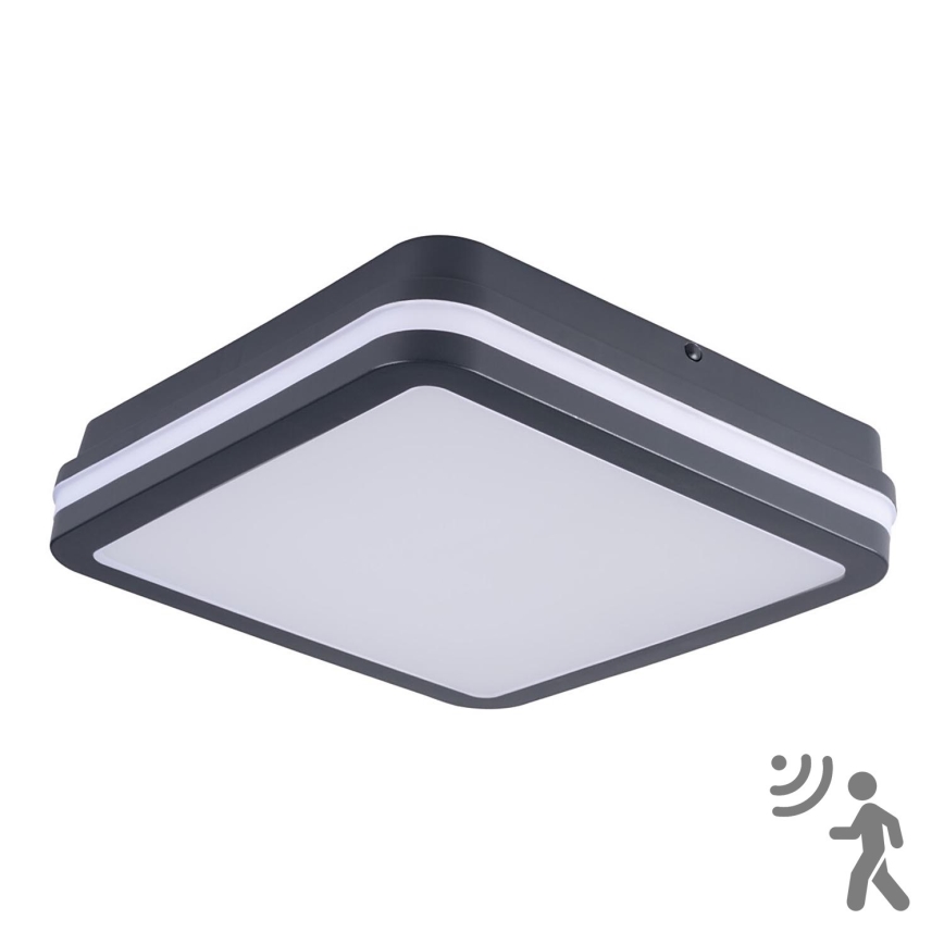 Brilagi - LED Spoljno svetlo sa senzorom pokreta BENE LED/24W/230V 26x26 cm antr IP54