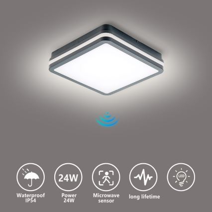 Brilagi - LED Spoljno svetlo sa senzorom pokreta BENE LED/24W/230V 26x26 cm antr IP54
