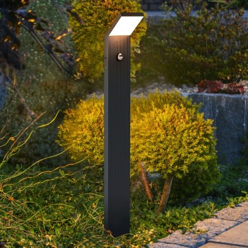 Brilagi - LED spoljašnja lampa sa senzorom RIANO LED/8W/230V antracit IP65