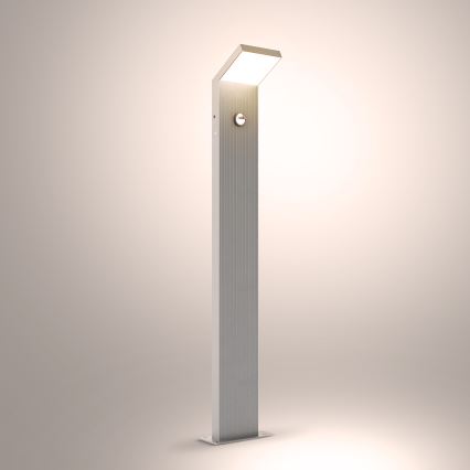 Brilagi - LED spoljašnja lampa sa senzorom RIANO LED/8W/230V srebrna IP65