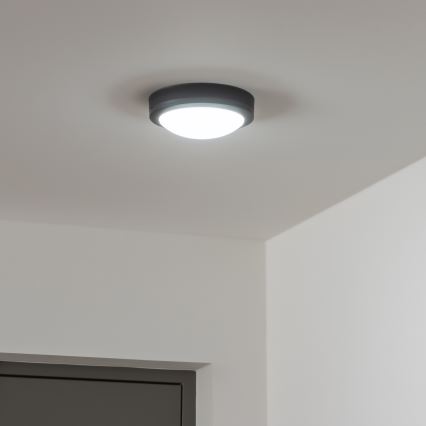 Brilagi - LED Spoljašnja plafonjera LED/13W/230V pr. 17 cm IP54 Antracit
