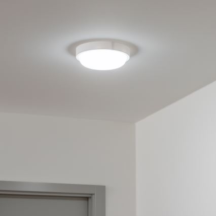 Brilagi - LED Spoljašnja plafonjera LED/13W/230V pr. 17 cm IP54