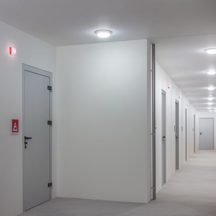 Brilagi - LED Spoljašnja plafonjera LED/13W/230V pr. 17 cm IP54