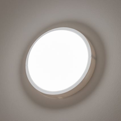 Brilagi - LED Spoljašnja plafonjera LED/13W/230V pr. 17 cm IP54