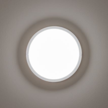 Brilagi - LED Spoljašnja plafonjera LED/13W/230V pr. 17 cm IP54