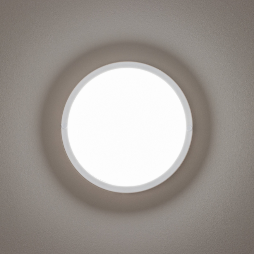 Brilagi - LED Spoljašnja plafonjera LED/13W/230V pr. 17 cm IP54