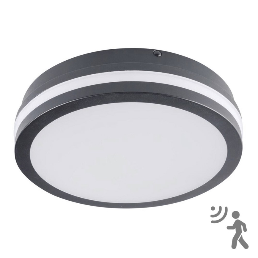 Brilagi - LED spoljašnje svetlo sa senzorom BENE LED/18W/230V prečnik 22 cm antracit IP54