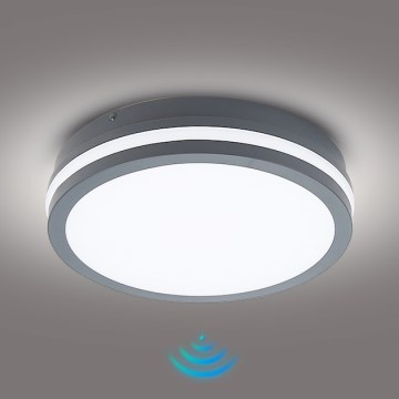 Brilagi - LED spoljašnja svetiljka sa senzorom BENE LED/24W/230V prečnik 26 cm antracit IP54