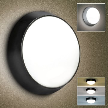 Brilagi - LED spoljašnja zidna svetiljka 2u1 BULKHEAD LED/20W/230V 3000/4000/6000K IP65