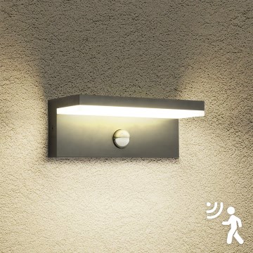 Brilagi - LED spoljašnja zidna svetiljka sa senzorom TESSI LED/10W/230V antracitna IP54
