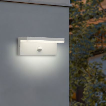 Brilagi - LED spoljašnje zidno svetlo sa senzorom TESSI LED/10W/230V belo IP54