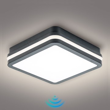 Brilagi - LED spoljašnje svetlo sa senzorom BENE LED/18W/230V 22x22 cm antracit IP54