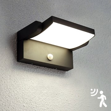 Brilagi - LED spoljašnje zidno svetlo sa senzorom ANKLE LED/12,5W/230V IP54