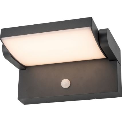 Brilagi - LED spoljašnje zidno svetlo sa senzorom ANKLE LED/12,5W/230V IP54