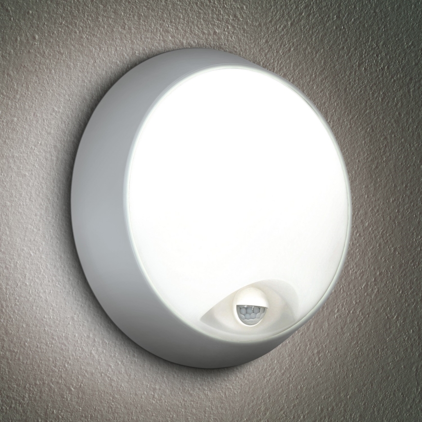 Brilagi - LED spoljašnje zidno svetlo sa senzorom 2u1 BULKHEAD LED/20W/230V IP65