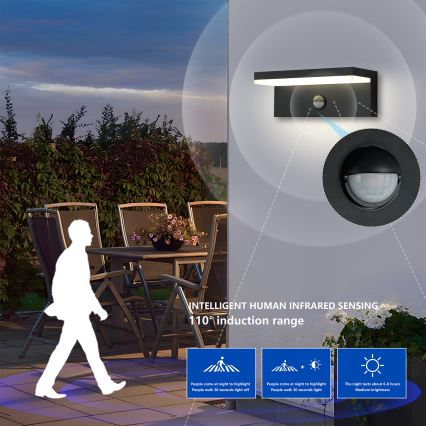 Brilagi - LED spoljašnje zidno svetlo sa senzorom TESSI LED/10W/230V crno IP54