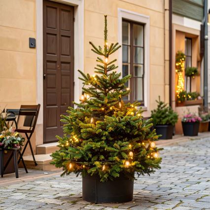 Brilagi - LED spoljašnji dekorativni niz 10xLED/3xAA 3,2m IP44 topla bela