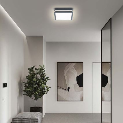 Brilagi - LED Spoljna lampa BENE LED/18W/230V 22x22 cm Antracit IP54