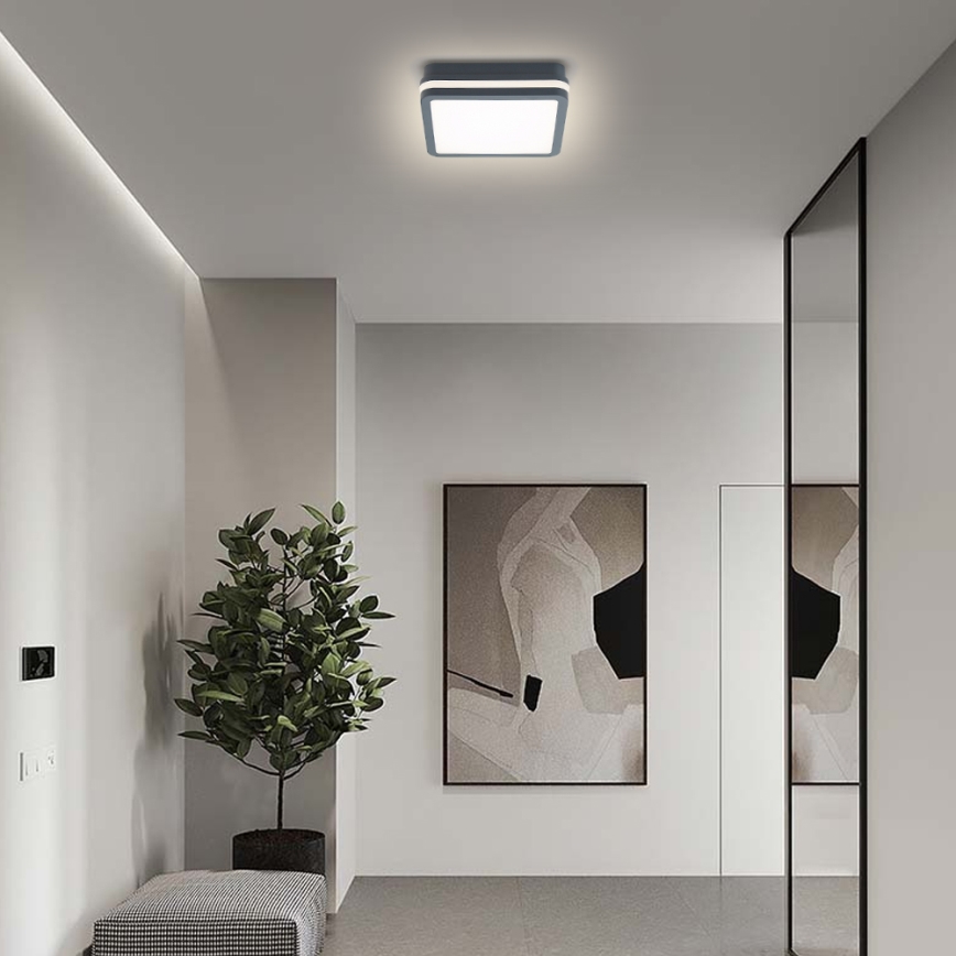 Brilagi - LED Spoljna lampa BENE LED/18W/230V 22x22 cm Antracit IP54