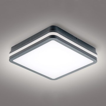 Brilagi - LED Spoljna lampa BENE LED/24W/230V 26x26 cm Antracit IP54