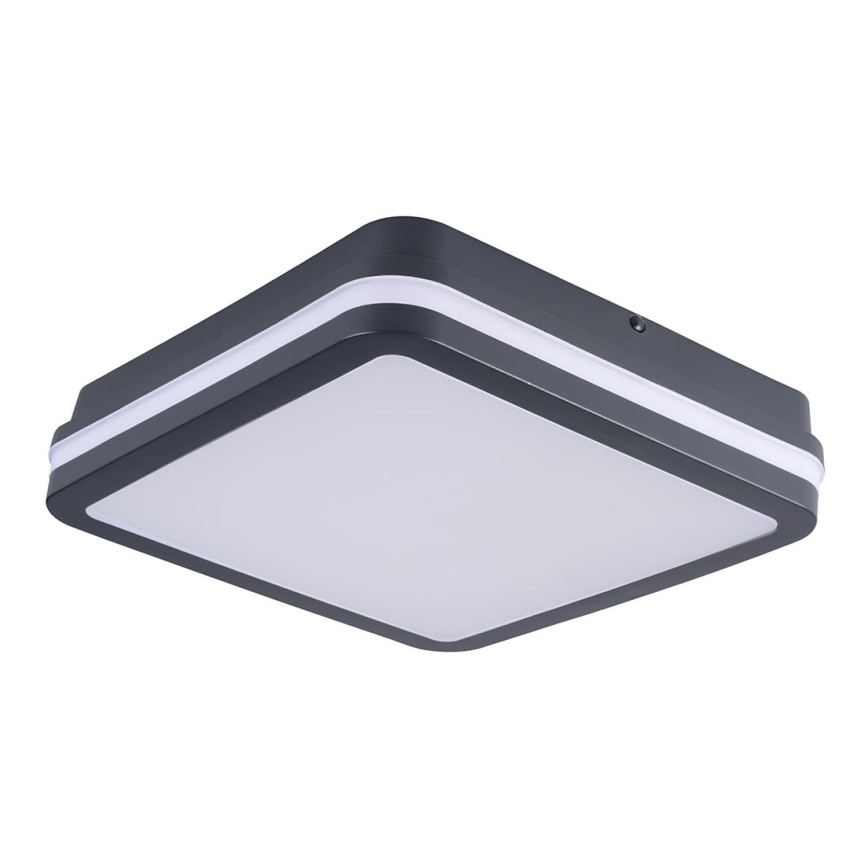 Brilagi - LED Spoljna lampa BENE LED/24W/230V 26x26 cm Antracit IP54