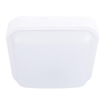 Brilagi - LED Spoljna zidna lampa LED/20W/230V IP54