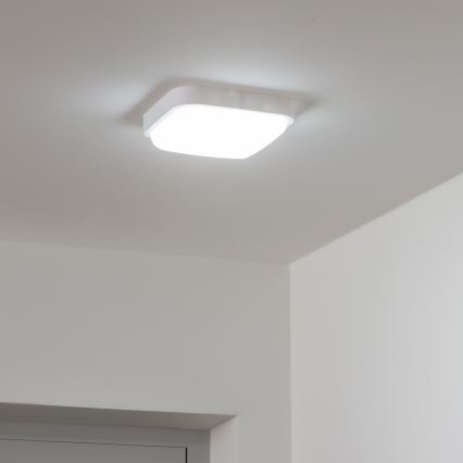 Brilagi - LED Spoljna zidna lampa LED/20W/230V IP54