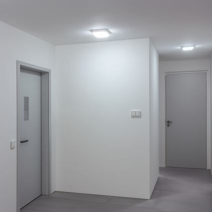 Brilagi - LED Spoljna zidna lampa LED/20W/230V IP54