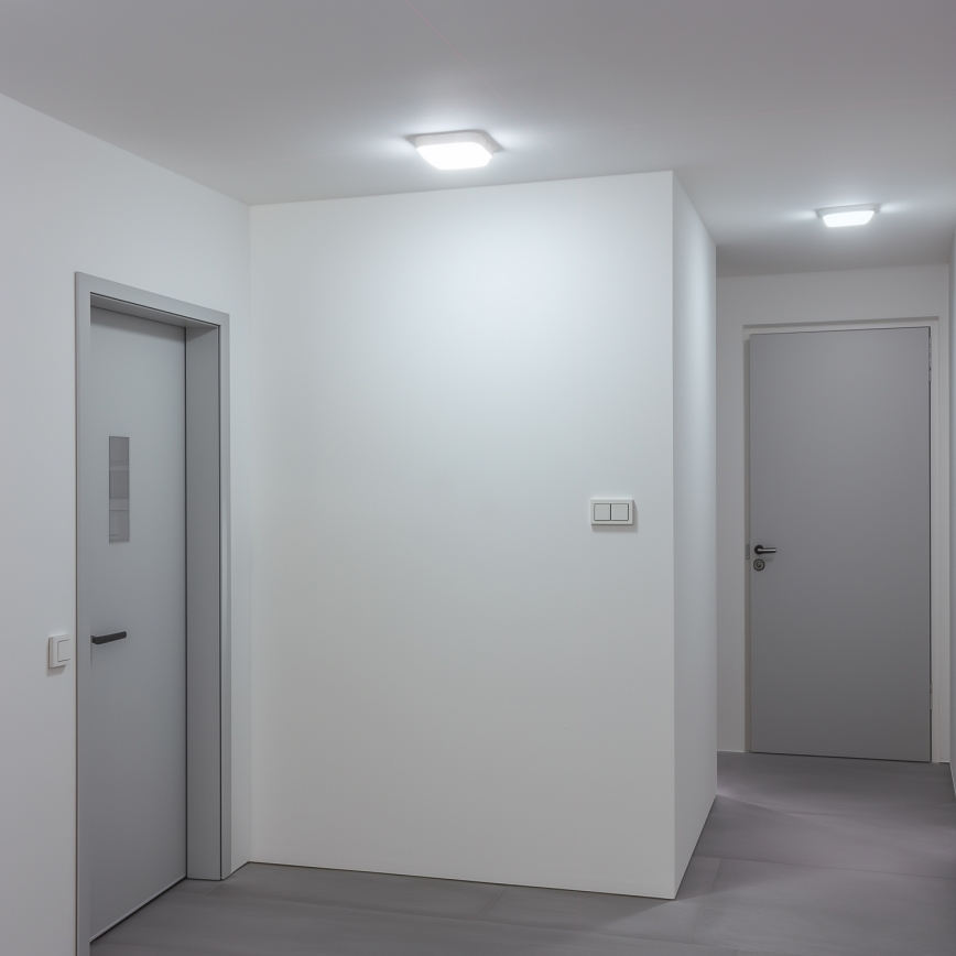 Brilagi - LED Spoljna zidna lampa LED/20W/230V IP54