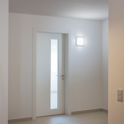 Brilagi - LED Spoljna zidna lampa LED/20W/230V IP54